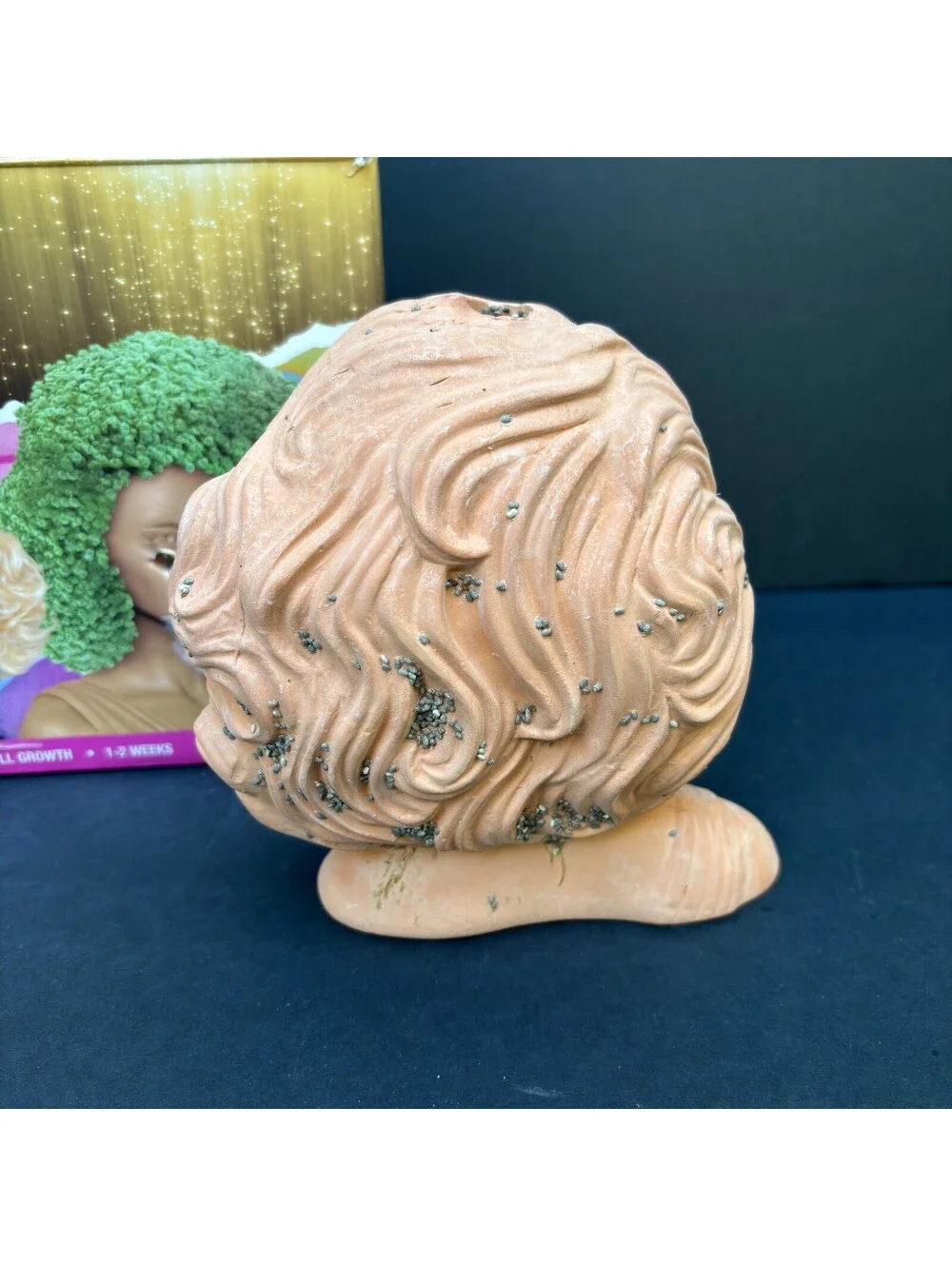 RuPaul Drag Queen Chia Pet Bust, Limited, Decorative Planter Gift